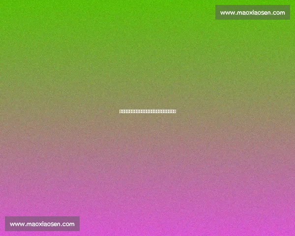 孔帕尼亲赴迈阿密观战本菲卡博卡,世俱杯战术侦察 孔帕尼亲赴迈阿密观战本菲卡博卡,世俱杯战术侦察