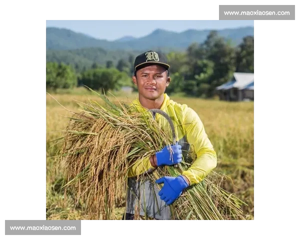 泰森对决播求世纪跨界巅峰之战力量与技术终极碰撞拳击与泰拳交锋