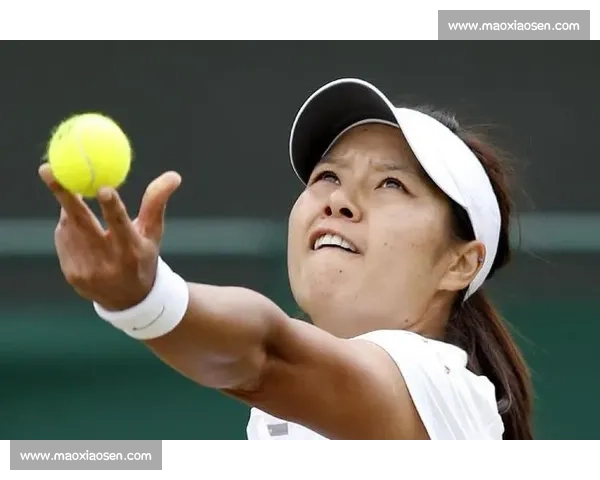 李娜对决文奇网坛巅峰较量技术与意志的全面碰撞经典之战书写时代记忆