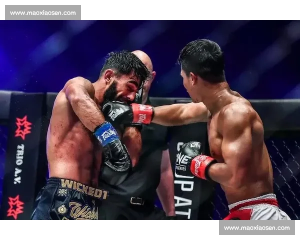 西堤猜对决苏波邦巅峰之战引爆泰拳世界关注荣耀与技术的终极较量