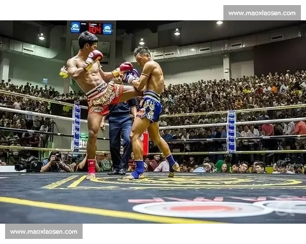相扑对决泰拳的力量速度与规则碰撞谁更占优解析格斗比较全面研究