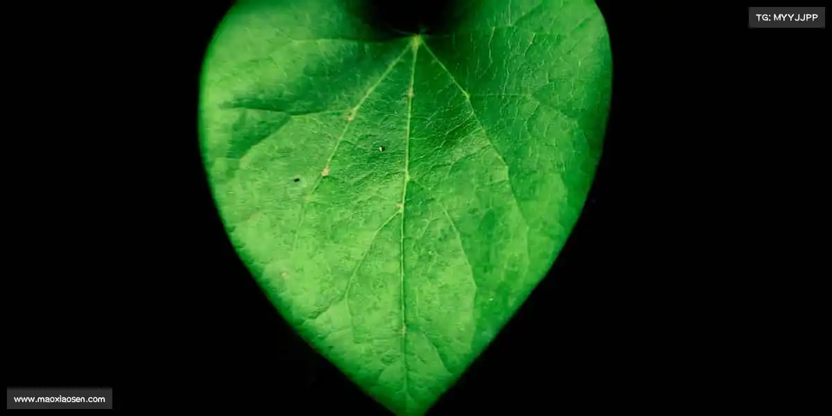 米兰官网体育不止输赢，是全力以赴时眼里闪烁的光✨